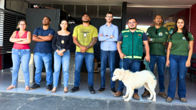 PCGO resgata cachorro amarrado sob sol escaldante, sem água e comida, em Porangatu