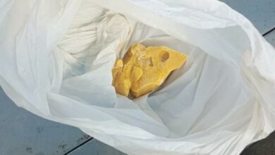 PCGO apreende cocaína e prende grupo suspeito de abastecer pontos de tráfico em Posse