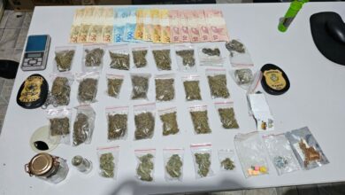 PCGO cumpre mandado em Cavalcante e apreende drogas sintéticas e alucinógenos