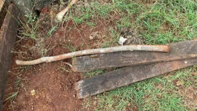 PCGO prende autor de tentativa de homicídio contra produtor rural