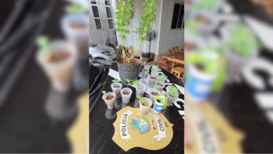 PCGO prende foragido por estupro de vulnerável e apreende drogas