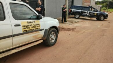 Polícia Civil e Min. da Agricultura cumprem buscas, em fábrica clandestina de Goianira, contra produção irregular de ração animal