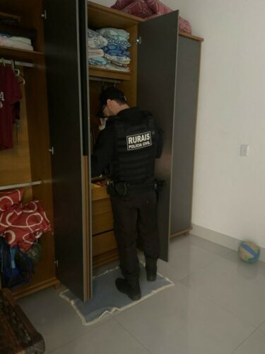 ‘Silêncio Rural’: PCGO investiga esquema de furto de gado e intimidação de produtor rural em Baliza