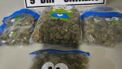 PCGO apreende R$12,5 mil em Super Maconha e prende suspeito de tráfico no momento em que chegava em catalão para comercializá la