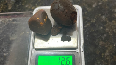 PCGO prende dupla em flagrante em Cachoeira Alta por furtar pedras biliares de frigorífico