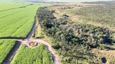 PCGO vistoria áreas de preservação permanente em regeneração em Chapadão do Céu