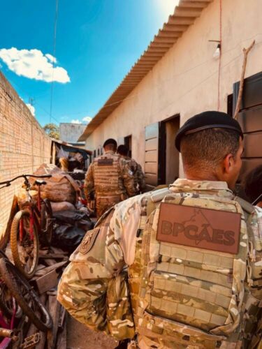 Polícia Civil cumpre mandado de busca e localiza drogas e dinheiro em residência de Padre Bernardo