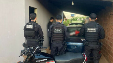 ‘Silêncio Rural’: PCGO investiga esquema de furto de gado e intimidação de produtor rural em Baliza