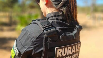 Operação Pasto Vazio cumpre buscas, em Goiás e no DF, em investigação de furto de mais de 150 cabeças de gado