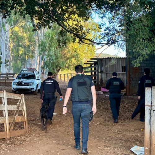 PCGO apreende armas de agressor doméstico em Iporá