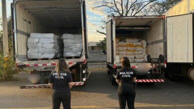 PCGO desarticula golpe e apreende carga de 12 toneladas de polpa de açaí avaliada em R$ 200 mil