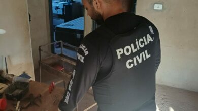 Polícia Civil apreende armas usadas para ameaçar mulher e prende investigado em flagrante