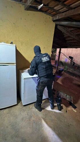 Polícia Civil prende condenado foragido por feminicídio brutal e apreende arsenal com mais de 600 munições e várias armas 