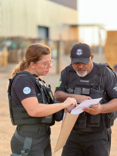 Operação Resgate: PCGO apreende 126 veículos em esquema que causou prejuízo de R$ 10 milhões