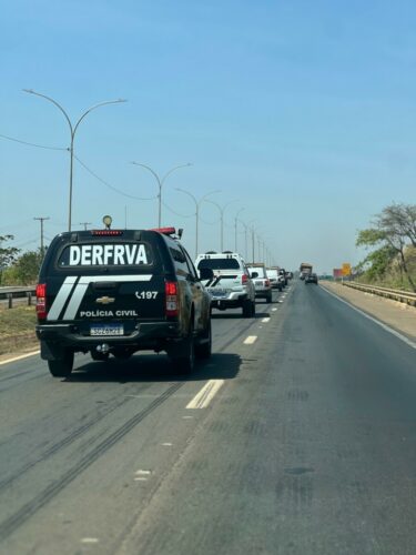 Operação Resgate: PCGO apreende 126 veículos em esquema que causou prejuízo de R$ 10 milhões