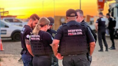 Operação Resgate: PCGO apreende 126 veículos em esquema que causou prejuízo de R$ 10 milhões