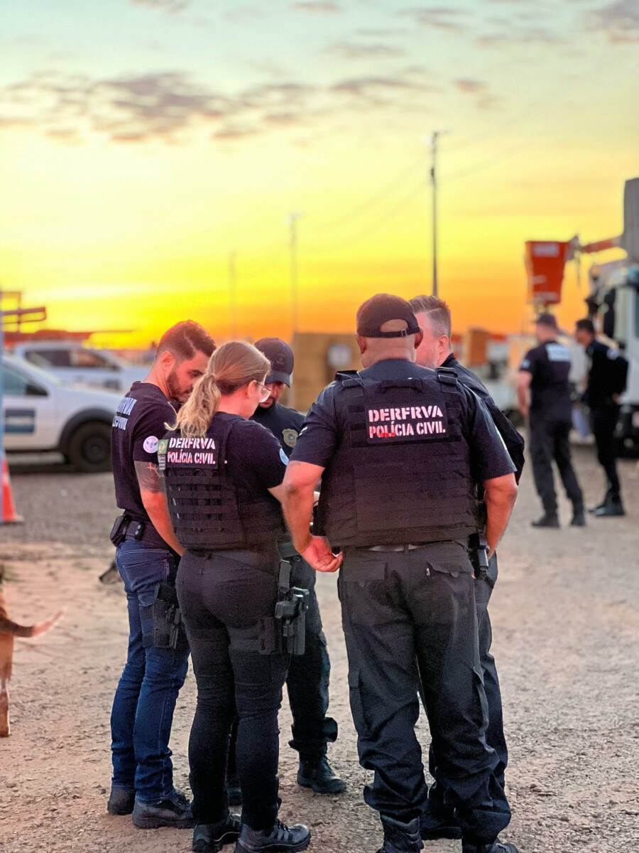 Operação Resgate: PCGO apreende 126 veículos em esquema que causou prejuízo de R$ 10 milhões