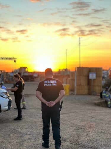 Operação Resgate: PCGO apreende 126 veículos em esquema que causou prejuízo de R$ 10 milhões