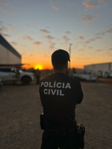 Operação Resgate: PCGO apreende 126 veículos em esquema que causou prejuízo de R$ 10 milhões