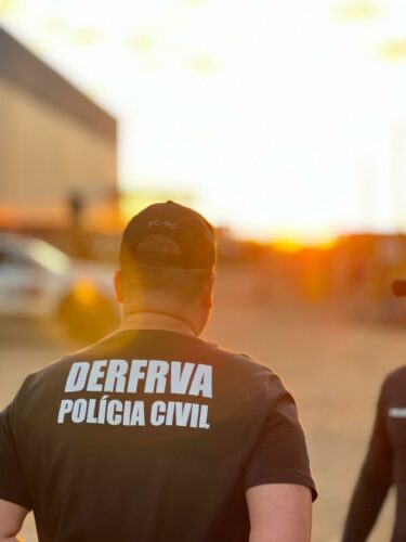 Operação Resgate: PCGO apreende 126 veículos em esquema que causou prejuízo de R$ 10 milhões