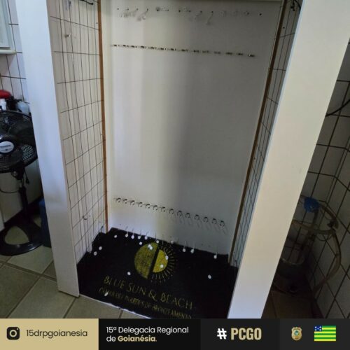Operação Sol Nublado: PCGO apreende lâmpadas proibidas em clínica de bronzeamento