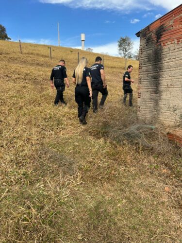 PCGO cumpre mandado e apreende armas de pressão em Anicuns por ameaça contra familiar