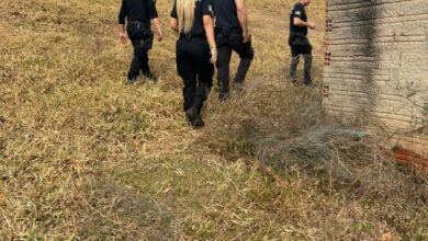 PCGO cumpre mandado e apreende armas de pressão em Anicuns por ameaça contra familiar