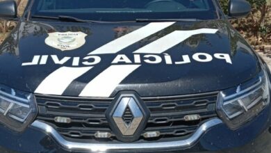 Polícia Civil prende homem em Ceres por crime de furto