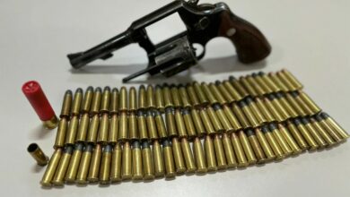 Polícia Civil prende homem em posse de arma de fogo durante investigação sobre morte de cão