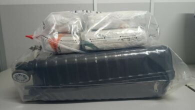 Rascunho automático