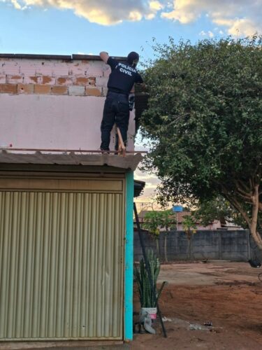 Catena Fracta: Polícia Civil desarticula o tráfico de drogas em megaoperação na região de Itapuranga