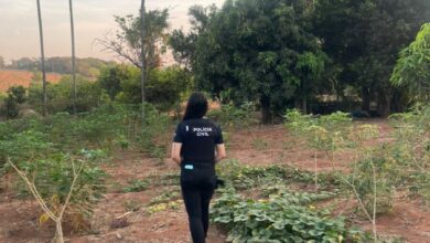 PCGO desarticula grupo criminoso envolvido com tráfico de drogas em Caçu