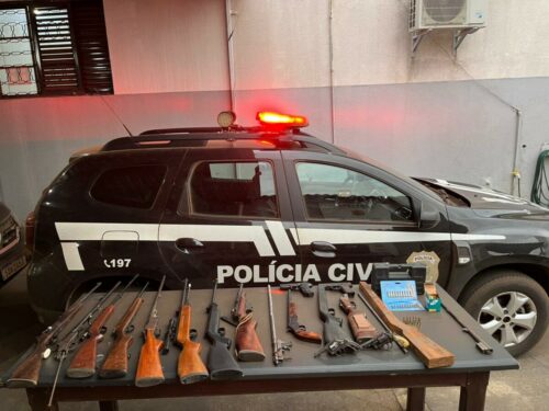 PCGO prende homem que mantinha oficina clandestina de armas de fogo em Montividiu