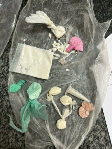 PCGO cumpre mandado de busca e apreende armas de fogo e grande quantidade de drogas em Luziânia