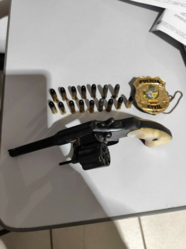 PCGO cumpre mandado de busca e apreensão e prende investigado em flagrante com arma de fogo em Mozarlândia
