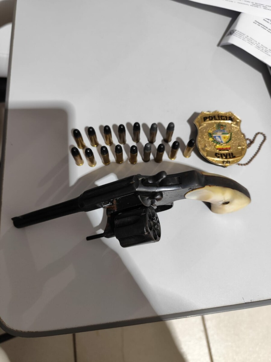 PCGO cumpre mandado de busca e apreensão e prende investigado em flagrante com arma de fogo em Mozarlândia