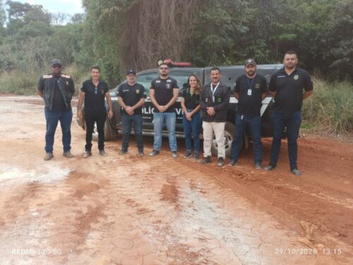 PCGO desarticula abatedouro clandestino e apreende grande quantidade de carne irregular em Niquelândia