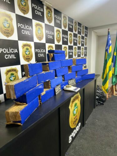 PCGO desativa apartamento usado como depósito de drogas e apreende grande quantidade de maconha