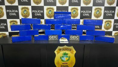 PCGO desativa apartamento usado como depósito de drogas e apreende grande quantidade de maconha