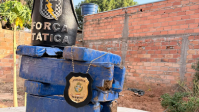 PCGO e PMGO apreendem drogas que estavam enterradas em uma casa de Caldas Novas