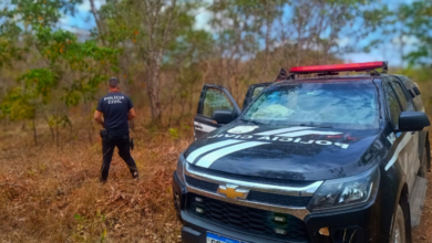 Polícia Civil localiza e recupera retroescavadeira furtada em Niquelândia