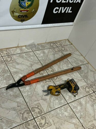 Polícia Civil prende em flagrante dois homens por furto qualificado em Goianápolis