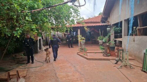 Operação Espectro: PCGO prende 12 pessoas por tráfico de drogas em São Simão