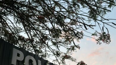 Operação South Side: PCGO prende dois investigados por homicídio qualificado e corrupção de menores