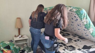 PCGO apreende arma e munições usadas por agressor que fez disparos contra portão da casa de ex companheira, em Luziânia