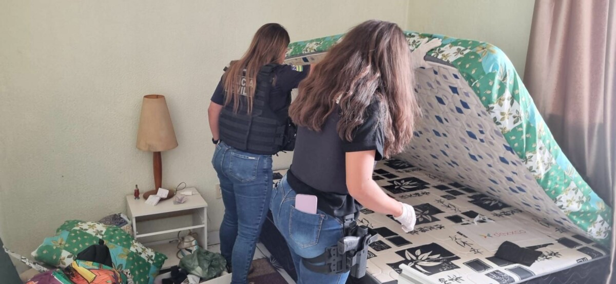 PCGO apreende arma e munições usadas por agressor que fez disparos contra portão da casa de ex companheira, em Luziânia