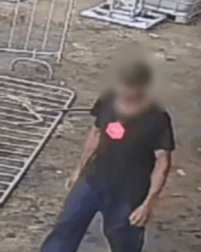 PCGO e PMGO, em ação conjunta, prendem investigado por homicídio de idoso de 88 anos em Brazabrantes