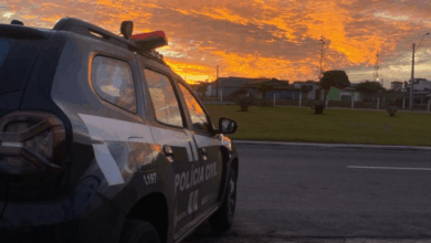 PCGO investiga grupo suspeito de desviar cargas e fraudar entregas de transportadora, causando prejuízo de cerca de R$ 500 mil