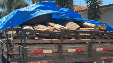 PCGO localiza e apreende caminhão com madeira ilegal após denúncia anônima em Jaraguá