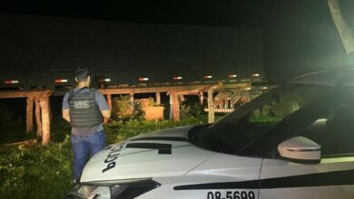 PCGO recupera gaiola de transporte de gado roubada e apreende arma de fogo